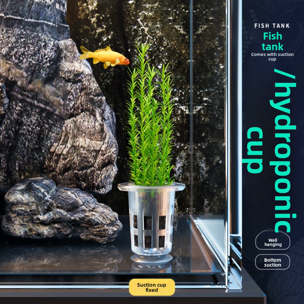 10Pcs Transparent Plant Hydrop - Hydroponic Grow Pod 评论和价格