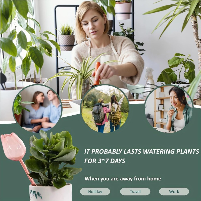 Pink Tulip Plant Watering Ball - Plant Sensor 评论和价格