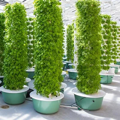 Aeroponics Towers Garden Syste - Hydroponic Tower 评论和价格