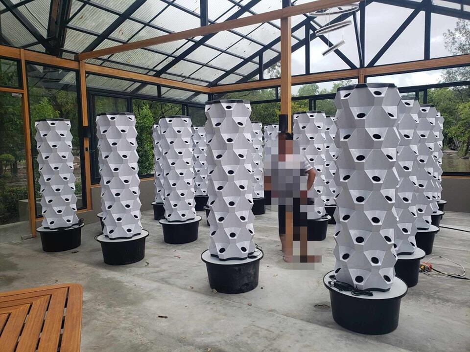 Greenhouse Vertical Farming Hy - Hydroponic Tower 评论和价格