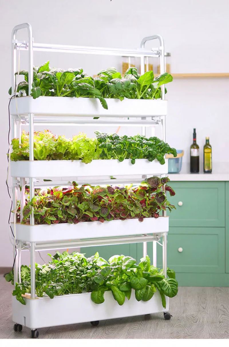 Home Use Vertical Hydroponic T - Hydroponic Tower 评论和价格