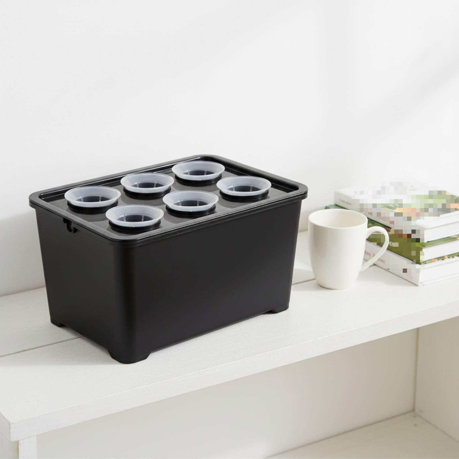 Hydroponic Planting Box Sunlig - Indoor Garden Kit 评论和价格