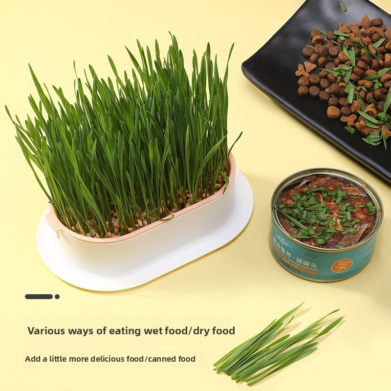 Pet Supplies Cat Snacks Cat Pl - Hydroponic Grow Pod 评论和价格