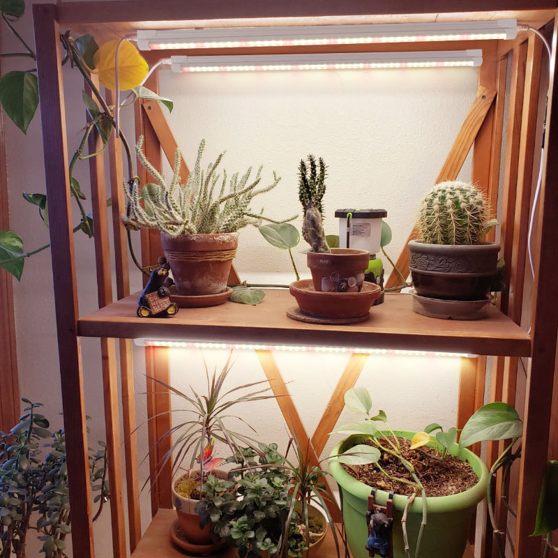 Indoor Green Plant Supplement  - Plant Grow Light Full Spectrum 评论和价格