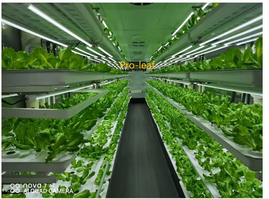 f Greenhouse Agricultural Equi - Hydroponic Tower 评论和价格