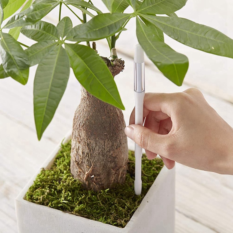Aquameter, 5pcs, Plant Soil Mo - Plant Sensor 评论和价格
