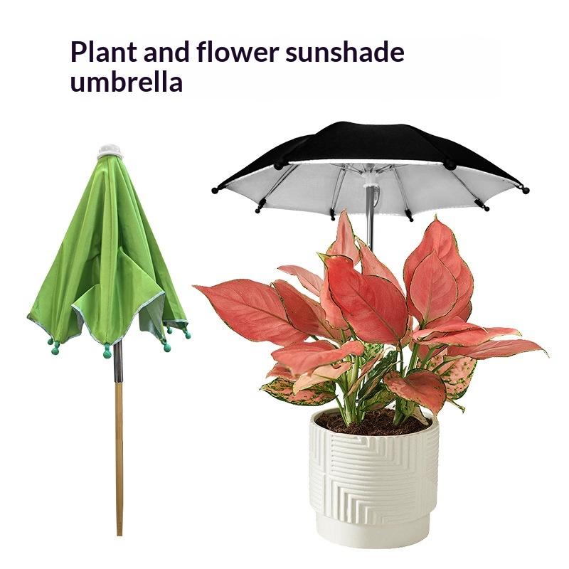 Adjustable Height Plant Umbrel - Plant Monitor 评论和价格