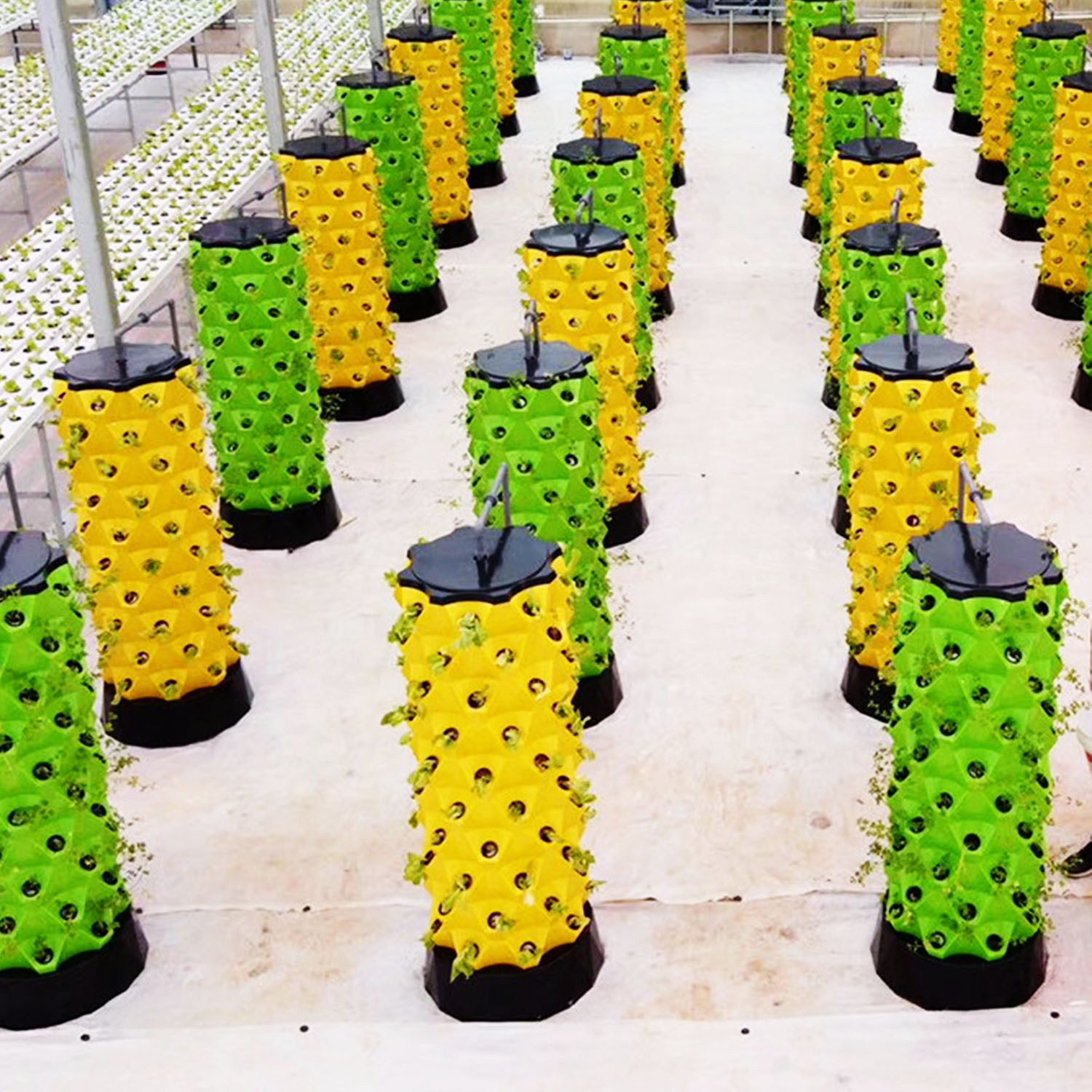 NEW Hydroponics Vertical Garde - Indoor Garden Kit 评论和价格