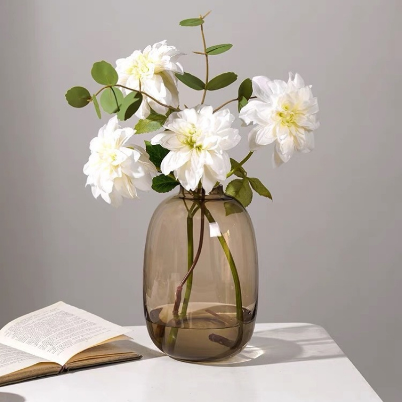 Transparent Glass Vase, Office - Hydroponic Grow Pod 评论和价格