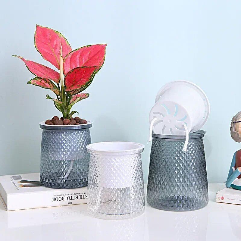 2024 Transparent Self Watering - Hydroponic Grow Pod 评论和价格
