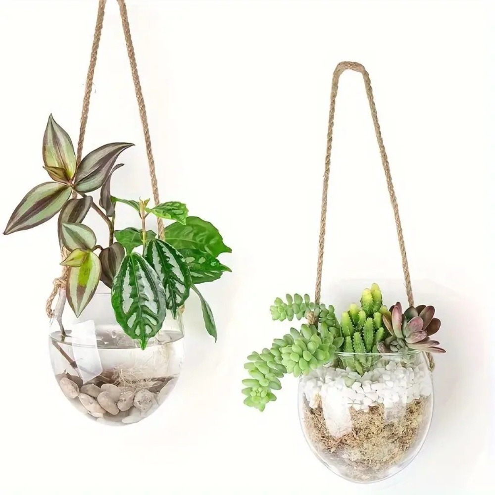 Transparent Hydroponic Hanging - Hydroponic Grow Pod 评论和价格