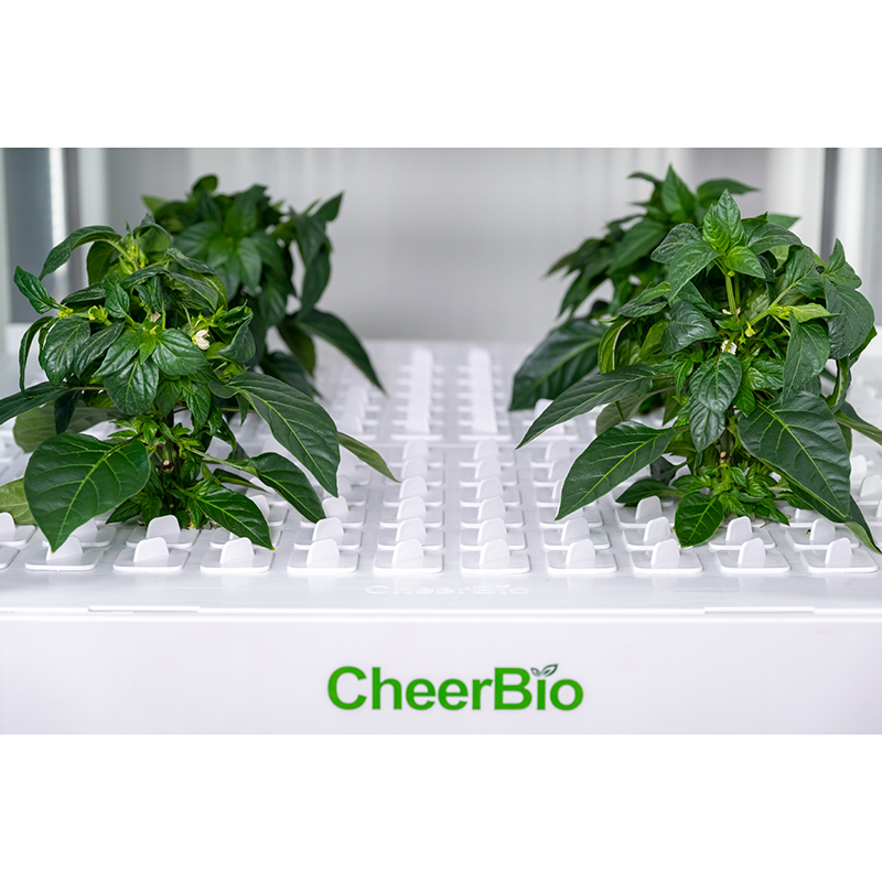 New   Intelligent Planting Sys - Indoor Garden Kit 评论和价格