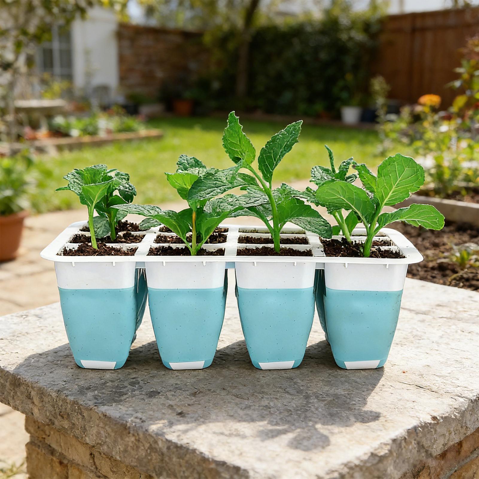 5 Pack Silicone Seed Starter T - Indoor Garden Kit 评论和价格