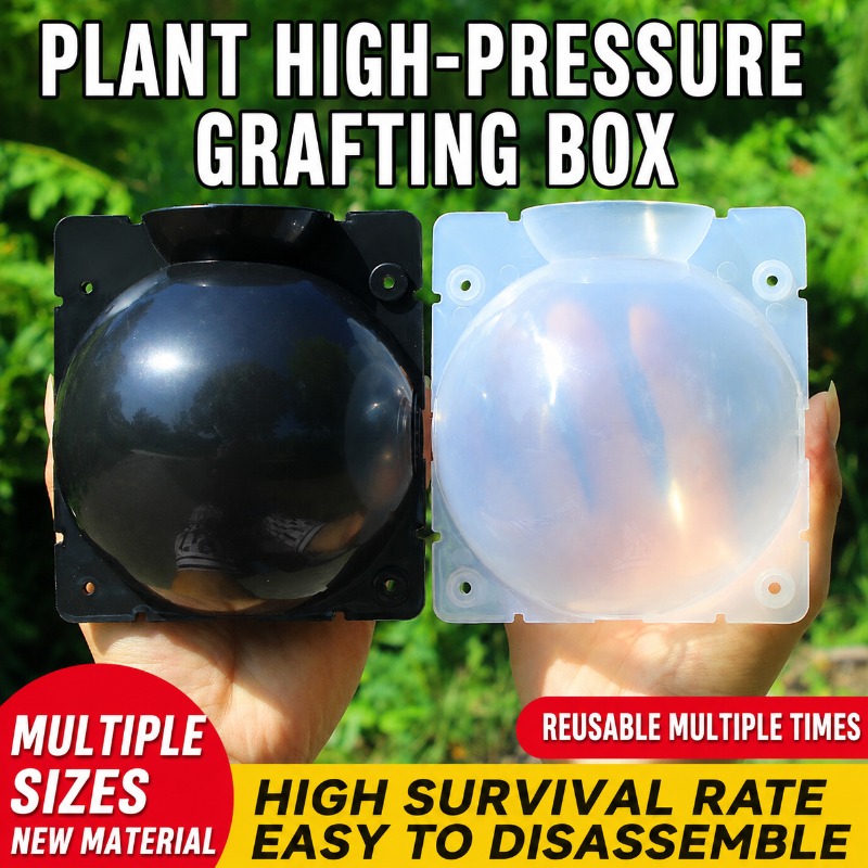 10pcs Plant Propagation Kit: H - Indoor Garden Kit 评论和价格