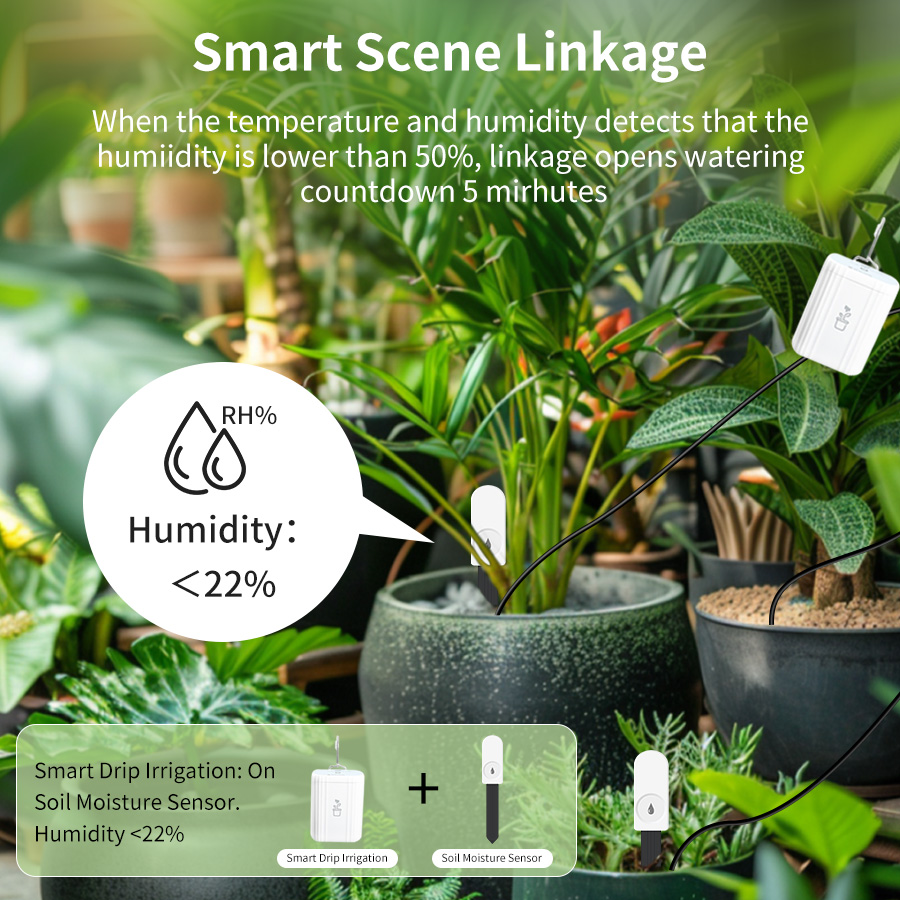 Smart Zigbee 3.0 Soil Tester H - Plant Monitor 评论和价格