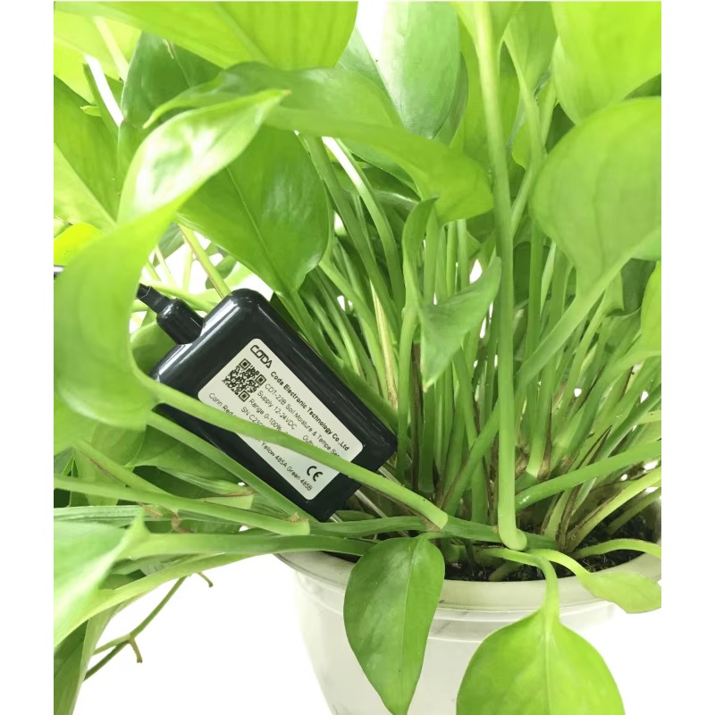 CDT-30B Rs485 0-2v Output Plan - Plant Sensor 评论和价格