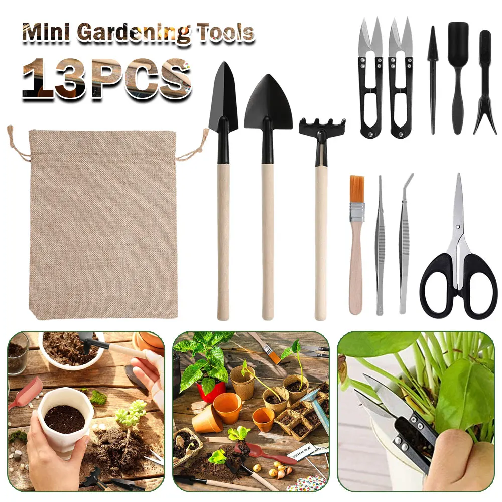 13PCS Succulent Plants Tool Se - Indoor Garden Kit 评论和价格