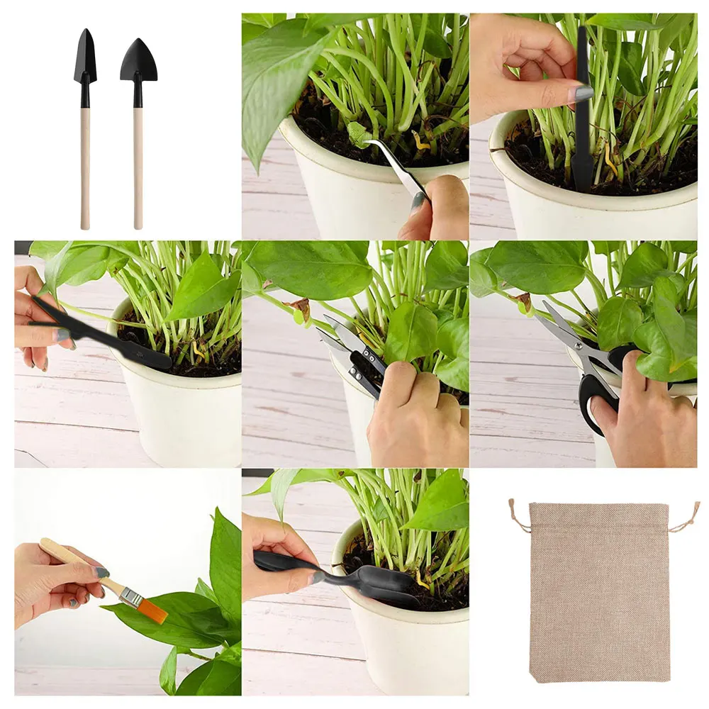 13PCS Succulent Plants Tool Se - Indoor Garden Kit 评论和价格