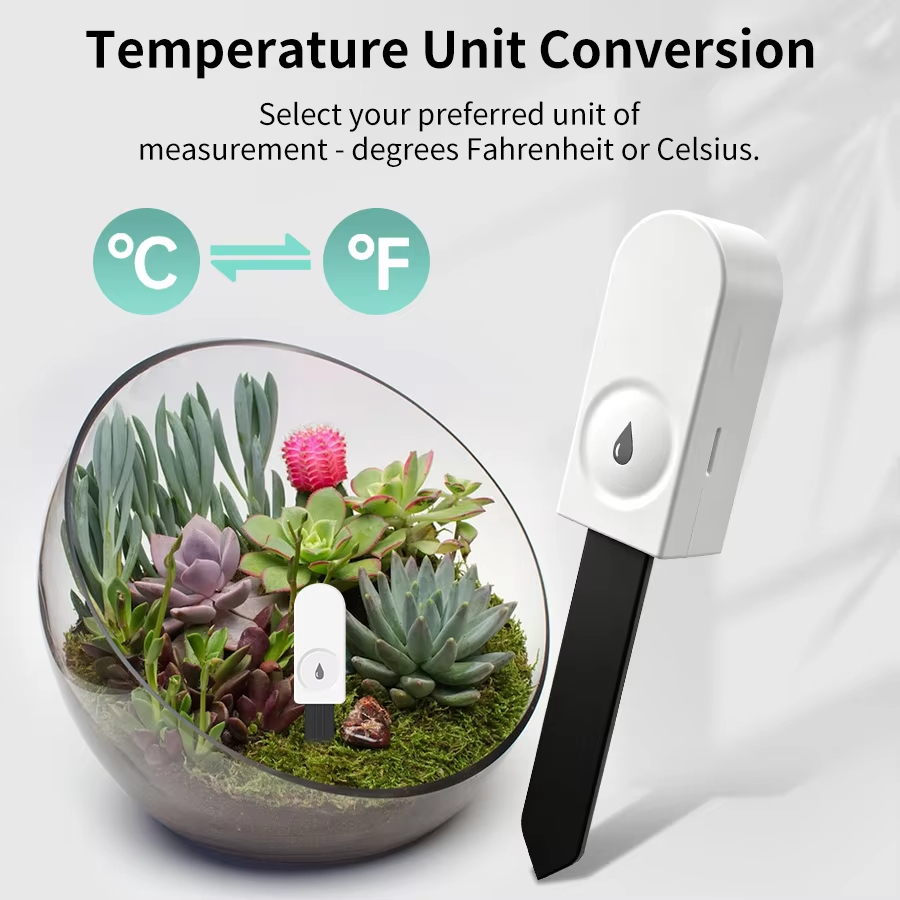 Zigbee 3.0 Plant Monitor Soil  - Garden Camera 评论和价格