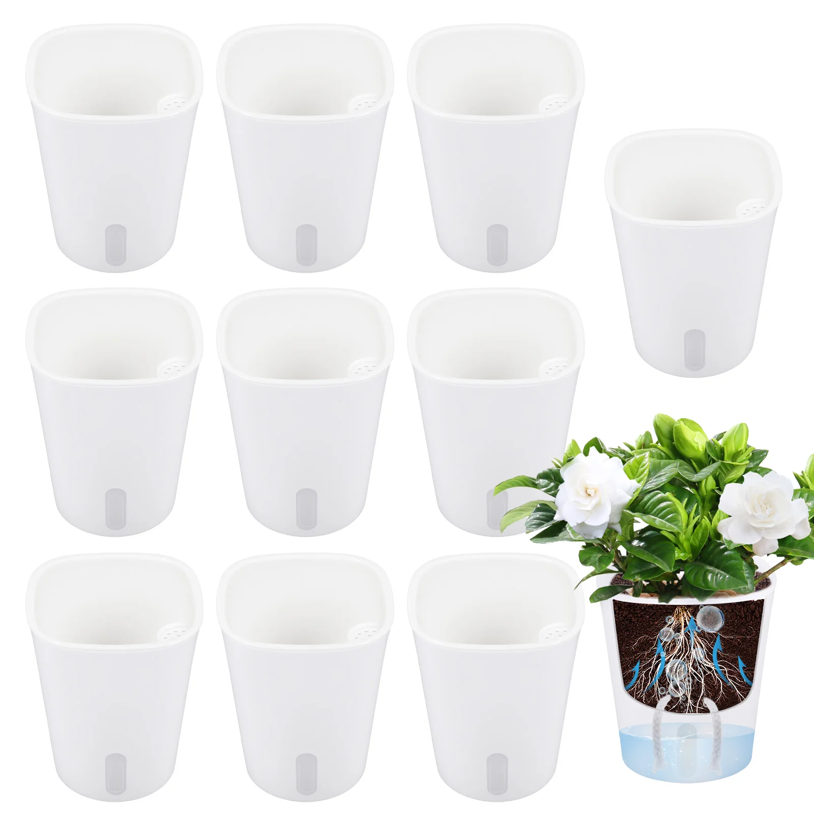 10 Pcs Self Watering Planter L - Hydroponic Grow Pod 评论和价格