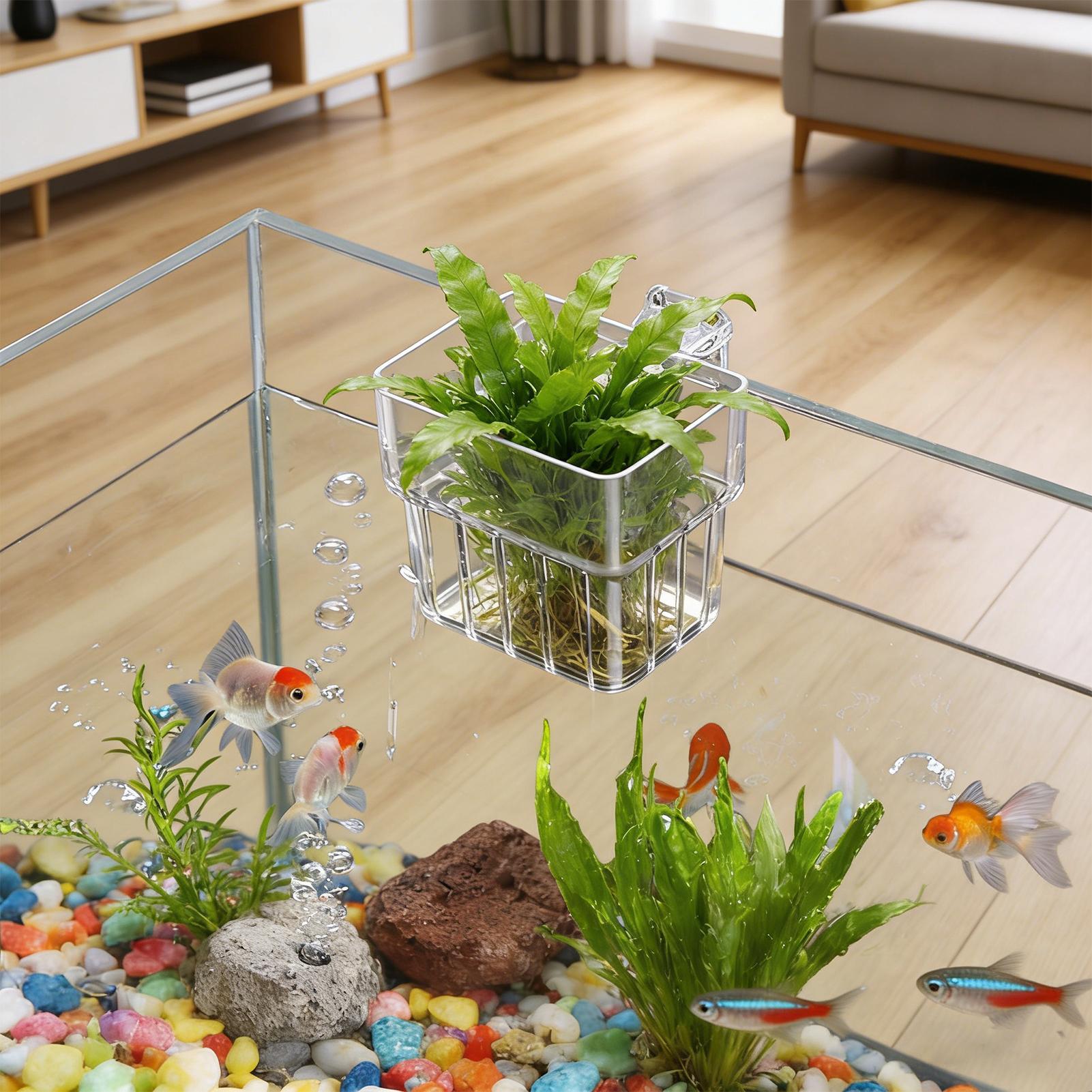 Aquarium Transparent Hanger Po - Hydroponic Grow Pod 评论和价格