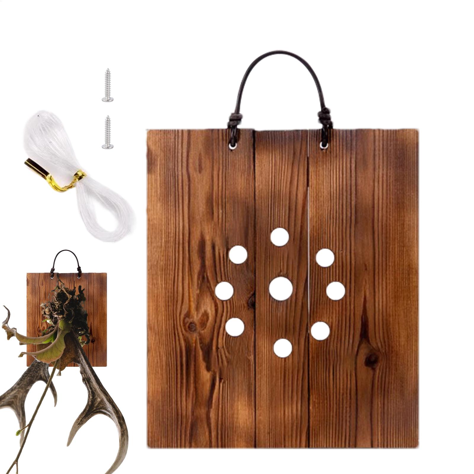 Staghorn Fern Wall Mount Board - Indoor Garden Kit 评论和价格