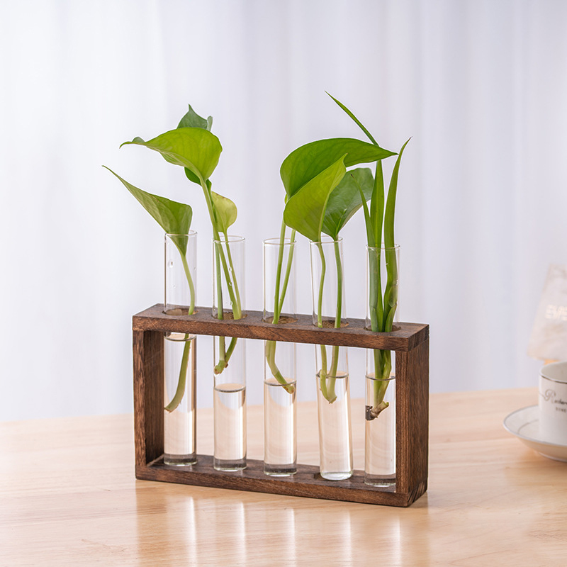 Hydroponic Plants Container wi - Hydroponic Grow Pod 评论和价格